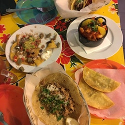 Taco Pescadilla